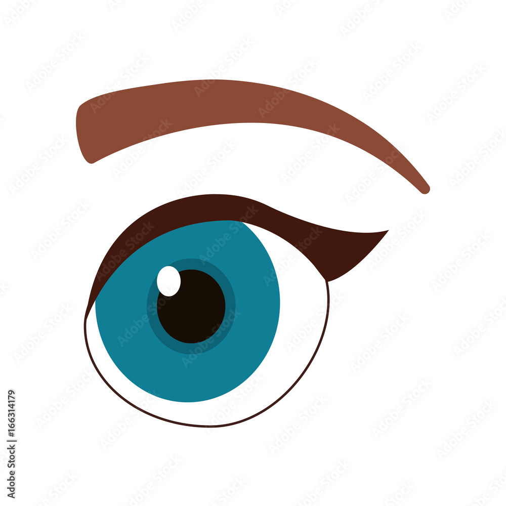 Obraz premium eye and eyebrow icon