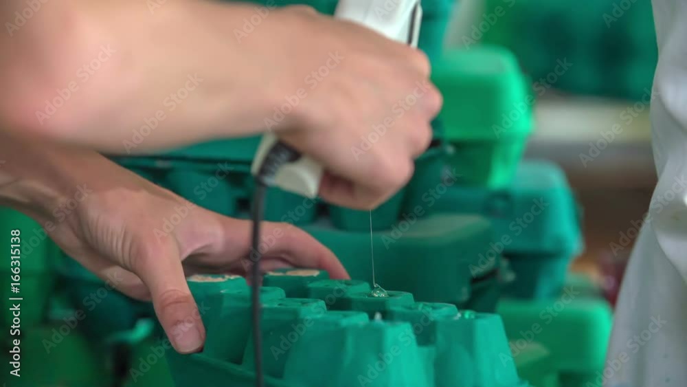 A young boy is slowly applying glue on green egg cartons in his art class. A young boy is slowly applying glue on green egg cartons in his art class.