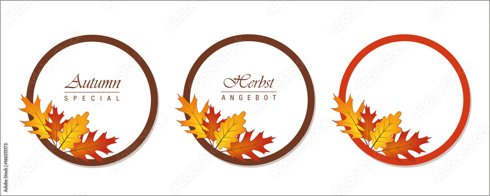 Herbst Angebot 3er Set Herbst Angebot 3er Set