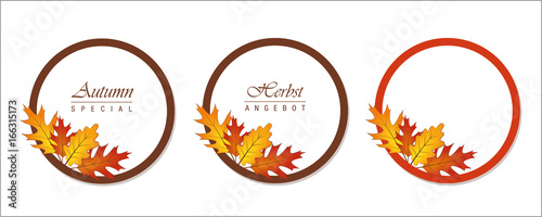 Herbst Angebot 3er Set