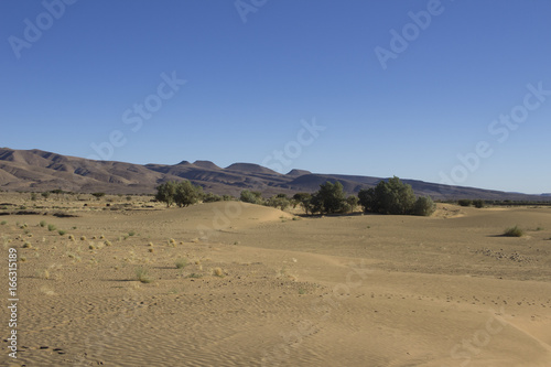 Paysage dunes de sable, arbre et montagnes désert Sahara Maroc