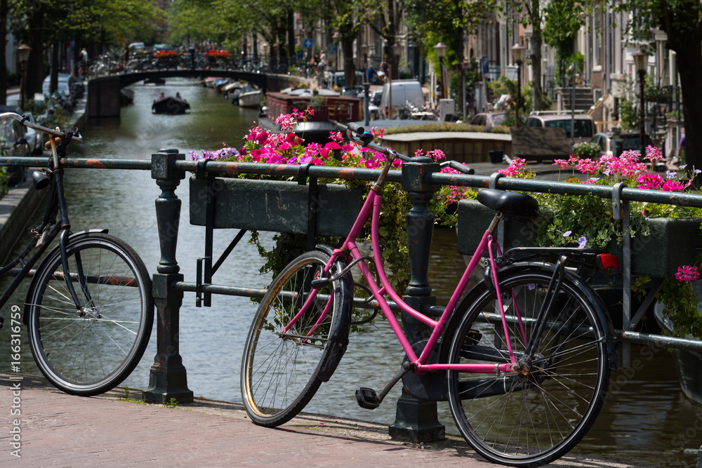 Pink bicycle and flowers on the Bloemgracht, Amsterdam, Netherlands
