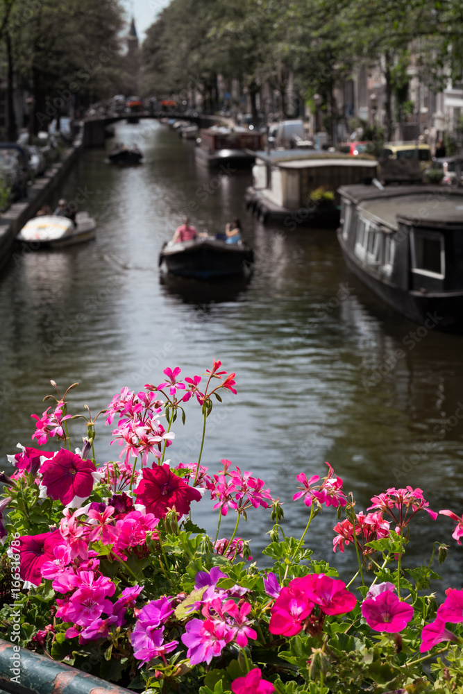Flowers on the Bloemgracht, Amsterdam, Netherlands
