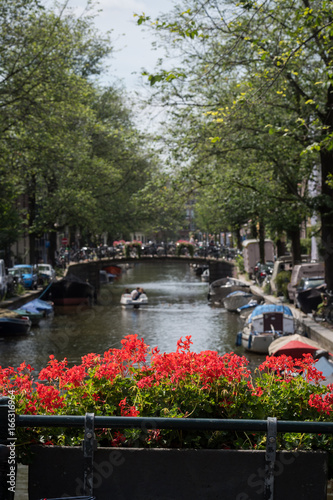 Canal and flowers, Amsterdam, Netherlands