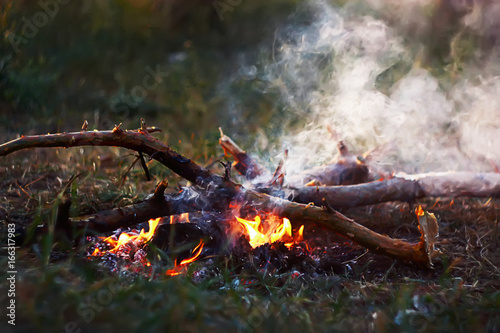  Bonfire on a picnic in the forest