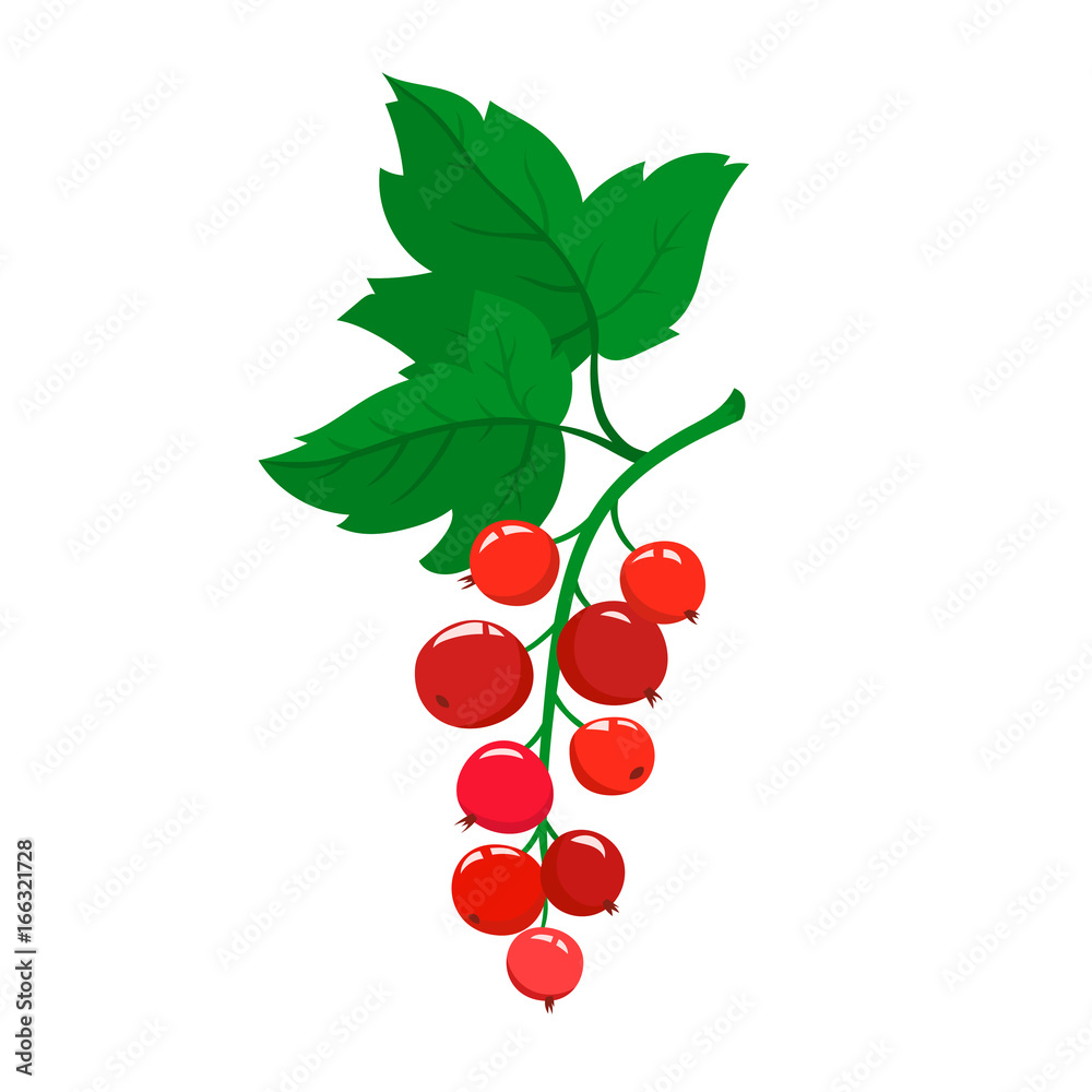 Cartoon red currant berries with green leaves on a isolated white background. Bright berries branch Cartoon red currant berries with green leaves on a isolated white background. Bright berries branch