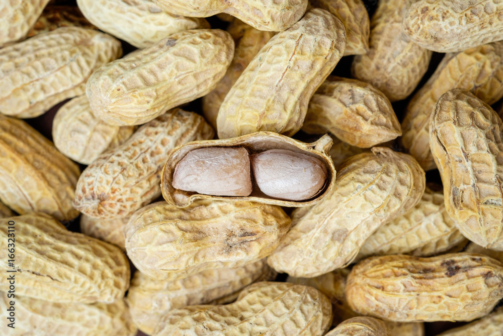 Pile of peanuts with one of it in open shell condition Pile of peanuts with one of it in open shell condition