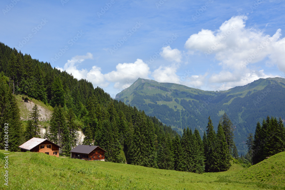 Bodenvorsäss mit Diedamskopf (2090m), Bregenzerwald