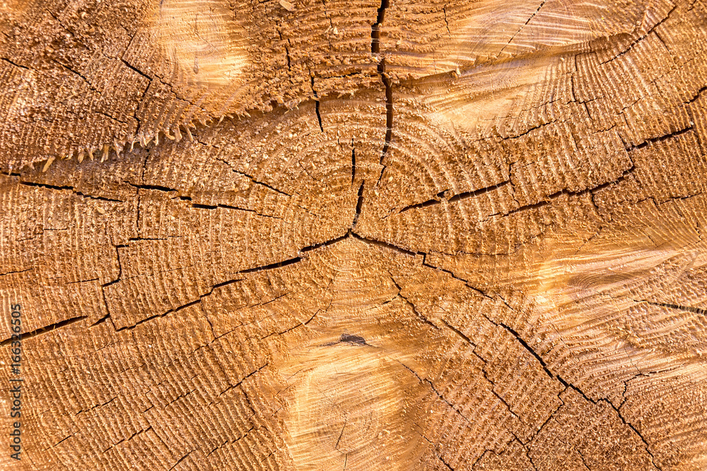 Fototapeta premium Texture wooden background