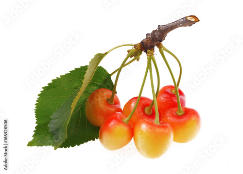 Obraz na płótnie Berries of red cherry with leaves on white background