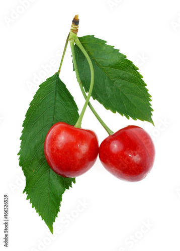 Berries of red cherry with leaves on white background