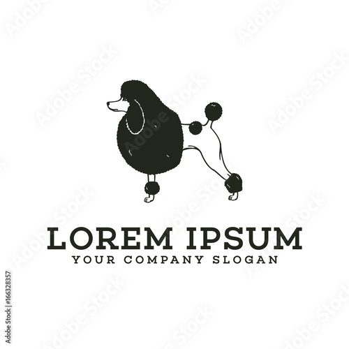 Stand dog logo. poodle pet dog logo design concept template