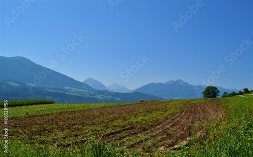 Felder in Tirol