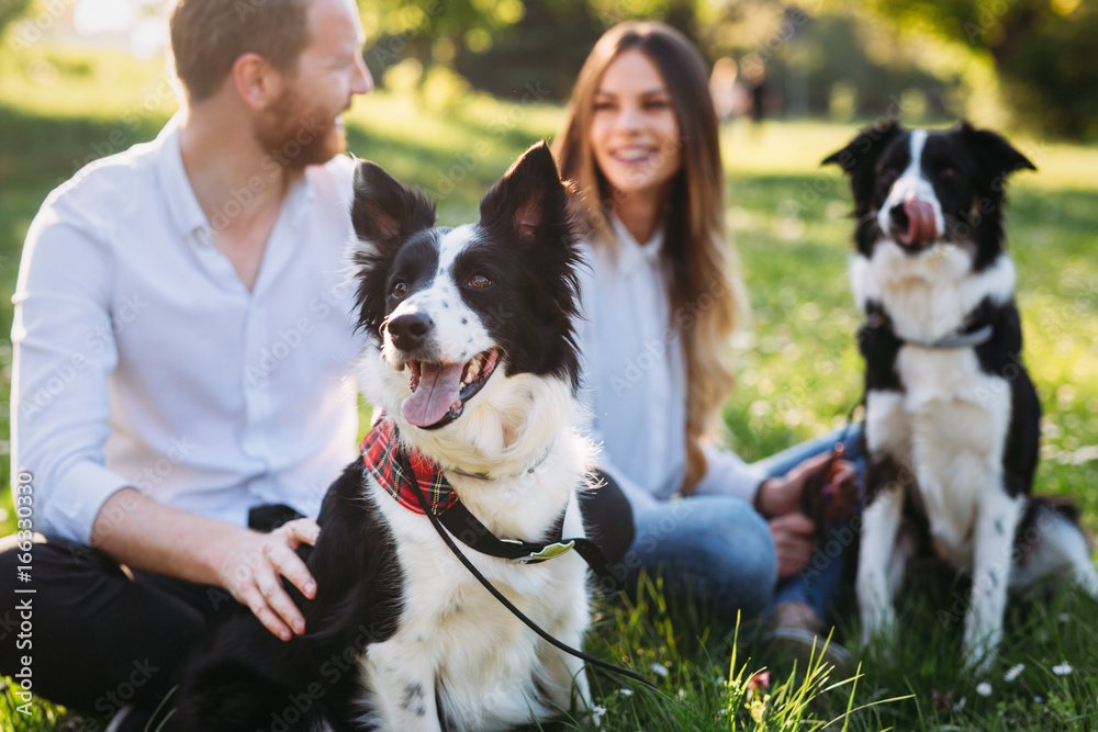 Beautiful couple cuddling and walking dogs outdoors