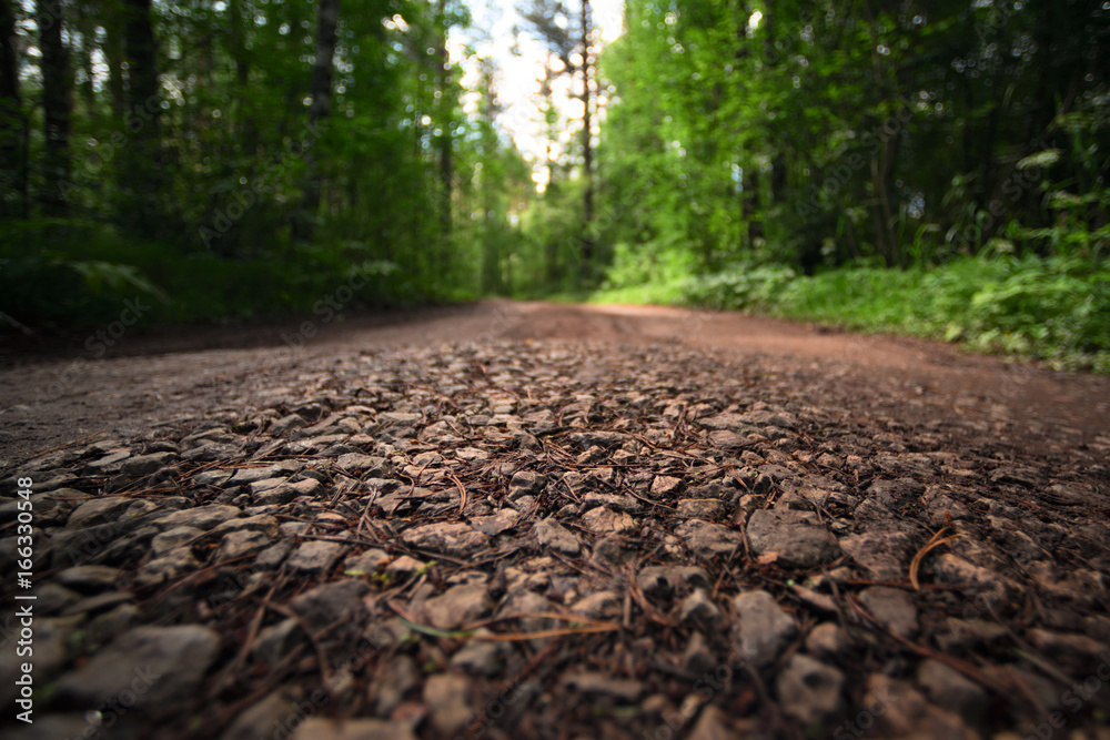 Fototapeta premium Road in the forest selective focus