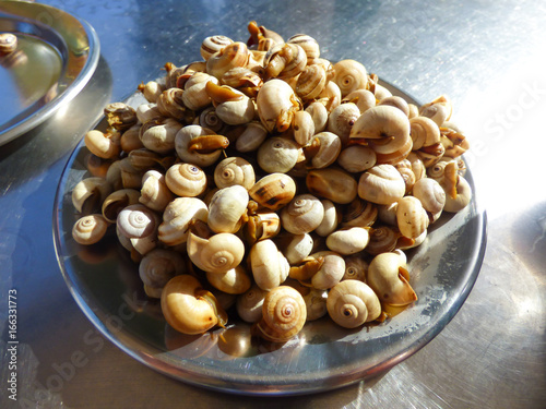 A plate with simple cooked snails photo