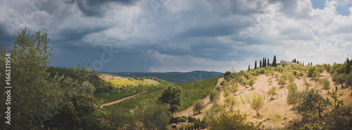 Weinberge und Olivenhaine in der Toskana, Panorama
