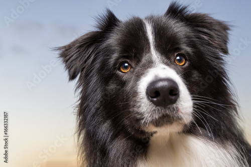 Can I have my treat, please