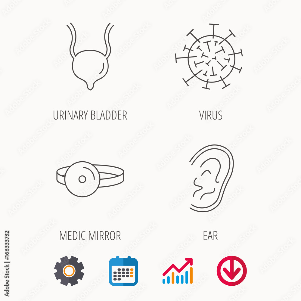 Virus, urinary bladder and ear icons. Medical mirror linear signs. Calendar, Graph chart and Cogwheel signs. Download colored web icon. Vector Virus, urinary bladder and ear icons. Medical mirror linear signs. Calendar, Graph chart and Cogwheel signs. Download colored web icon. Vector