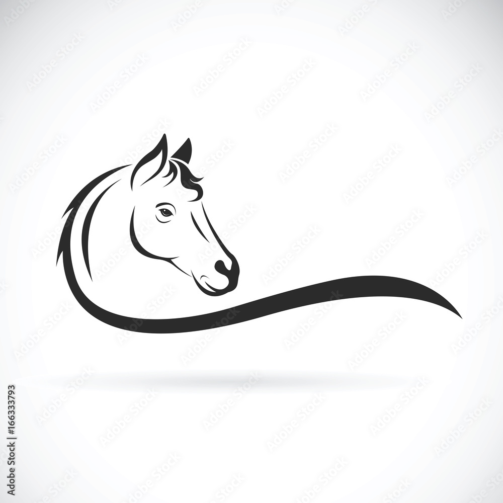 Wektor głowa konia na białym tle. Dzikie zwierze <span>plik: #166333793 | autor: yod67</span>