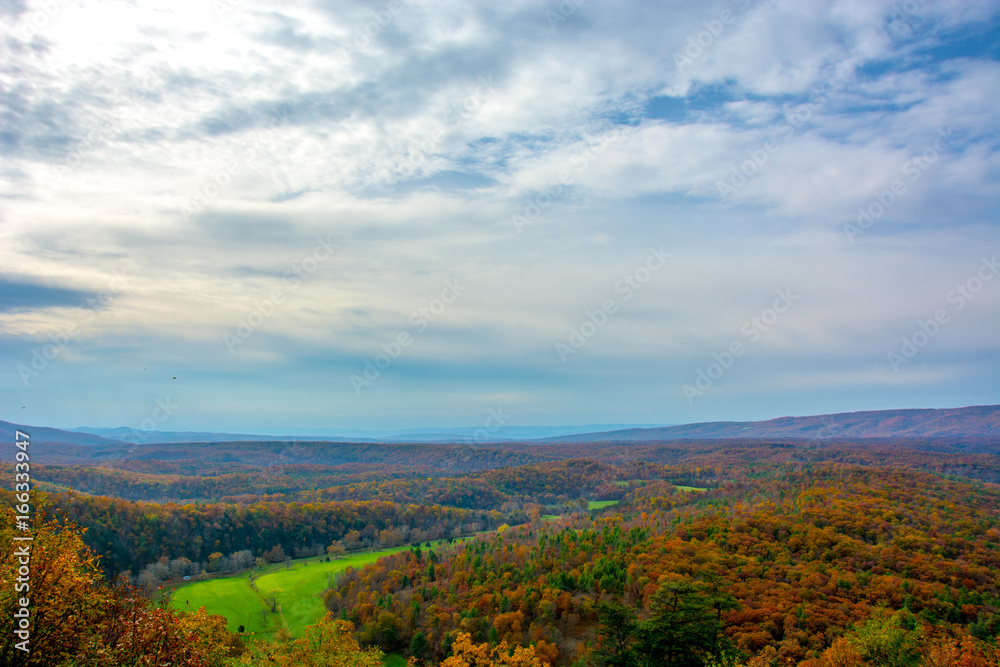 Fall Trees and Sky