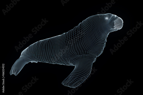 Walrus Seal in Hologram Wireframe Style. Nice 3D Rendering
