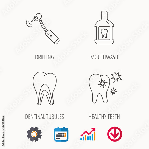 Tooth, mouthwash and dentinal tubules icons. Healthy teeth, dentinal tubules linear sign. Calendar, Graph chart and Cogwheel signs. Download colored web icon. Vector