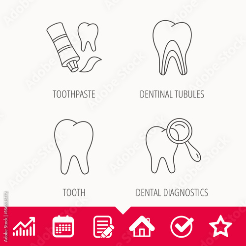 Tooth, dental diagnostics and toothpaste icons. Dentinal tubules linear sign. Edit document, Calendar and Graph chart signs. Star, Check and House web icons. Vector