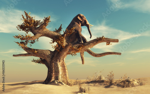 Elephant in a dry tree photo