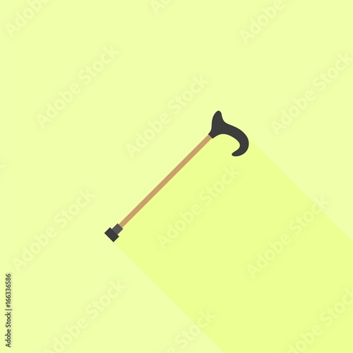 walking stick
