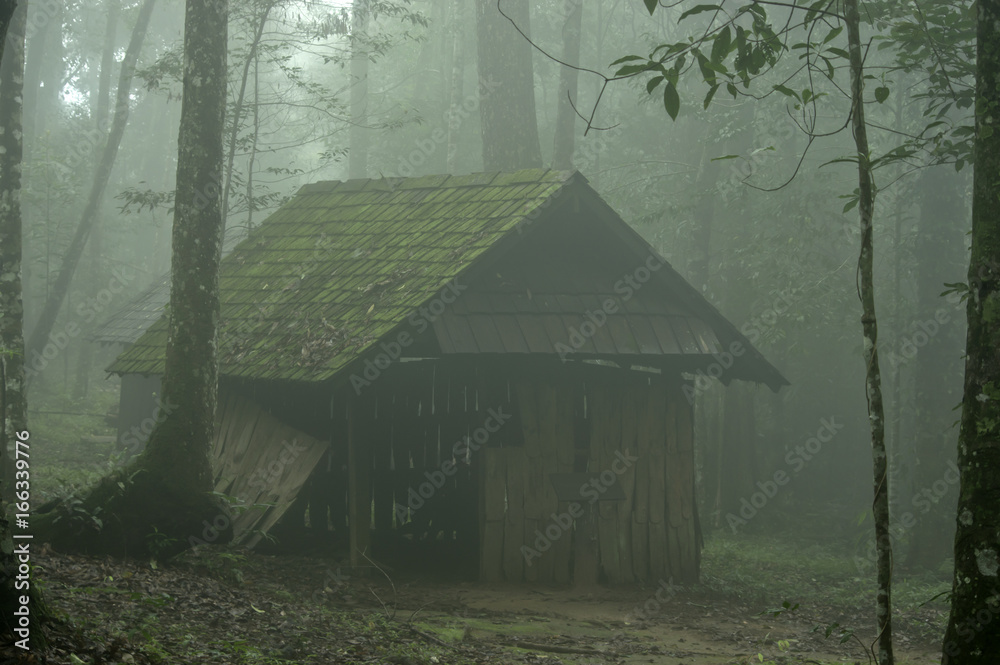 Fototapeta premium House in the deep forest in the mist.Thailand