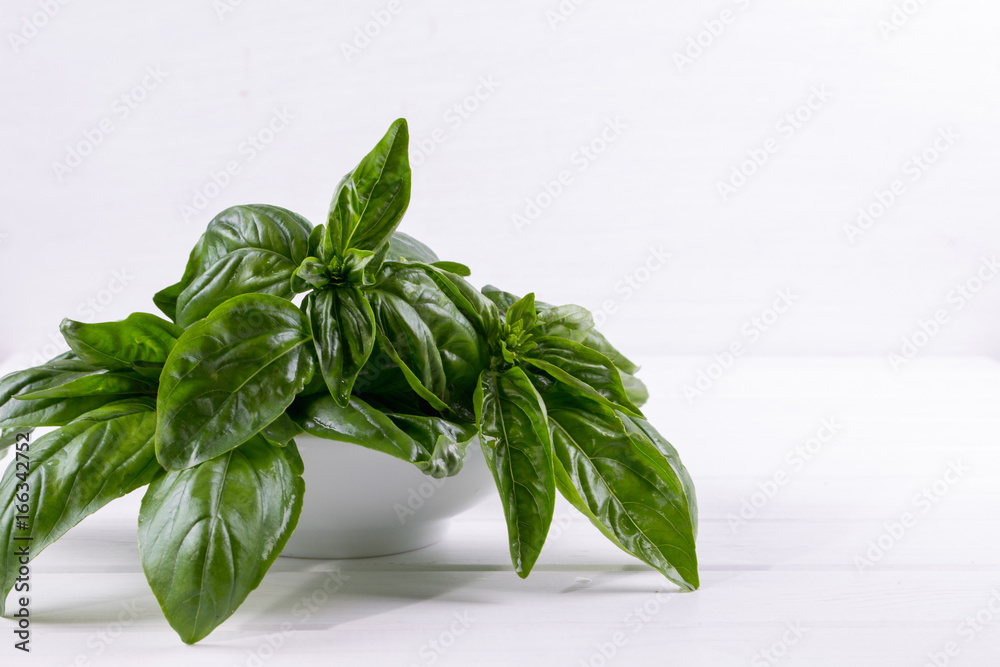 Fresh green basil leaves on white plate on white background Fresh green basil leaves on white plate on white background