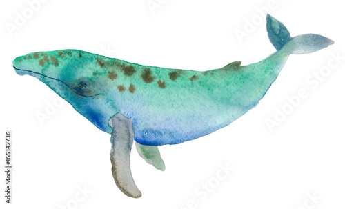 Watercolor multicolor whale