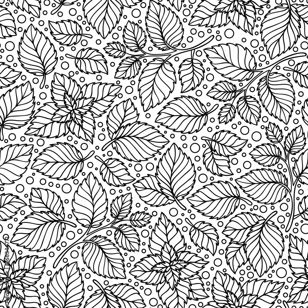 Vector seamless pattern  of mint leaves .