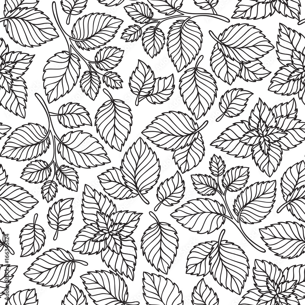Vector seamless pattern  of mint leaves .