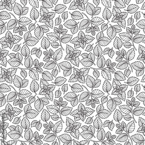 Vector seamless pattern of mint leaves .