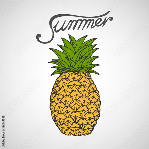 Pineapple Vector illustration