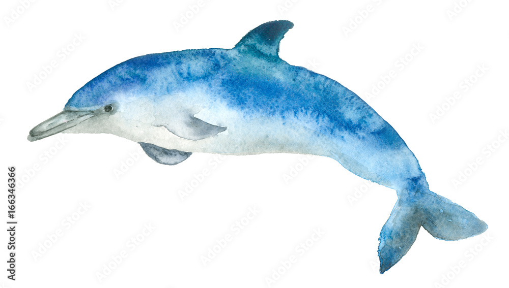 Fototapeta premium Watercolor blue dolphin