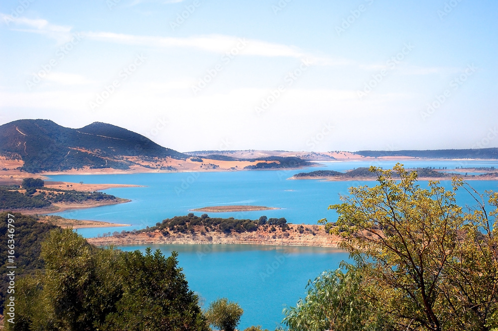 Naklejka premium Árboles alrededor de un lago