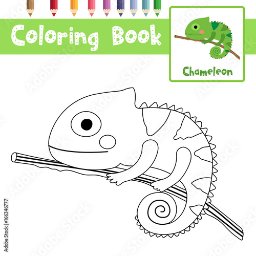 Coloring page of Chameleon on branch animals for preschool kids activity educational worksheet. Vector Illustration.