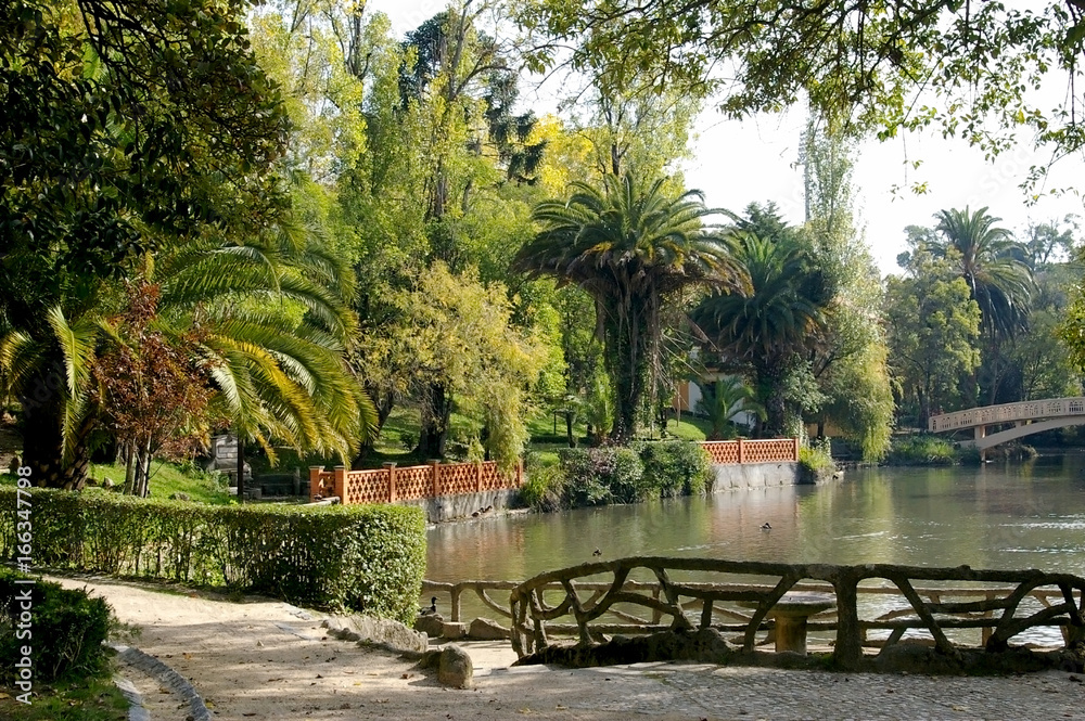 Árboles, palmeras y patos en el Parque Infante Don Pedro en Aveiro, Portugal