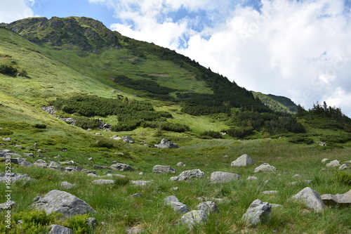  Mountain gorges, summer green grass, blue sky. Mountain trails.