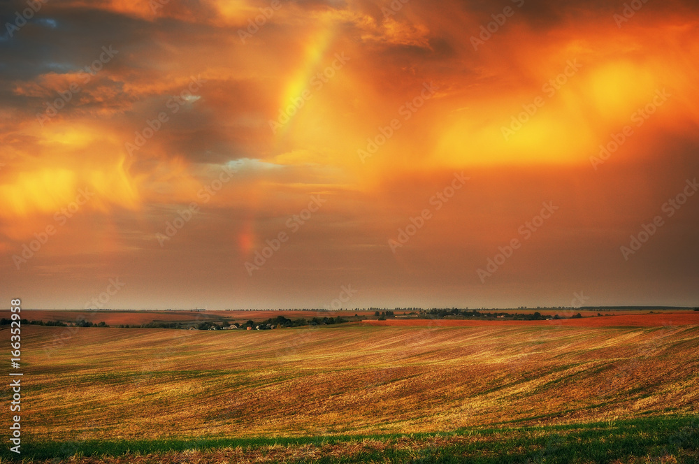 Rainbow over the field