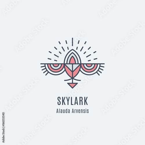 Flying Bird Logo design