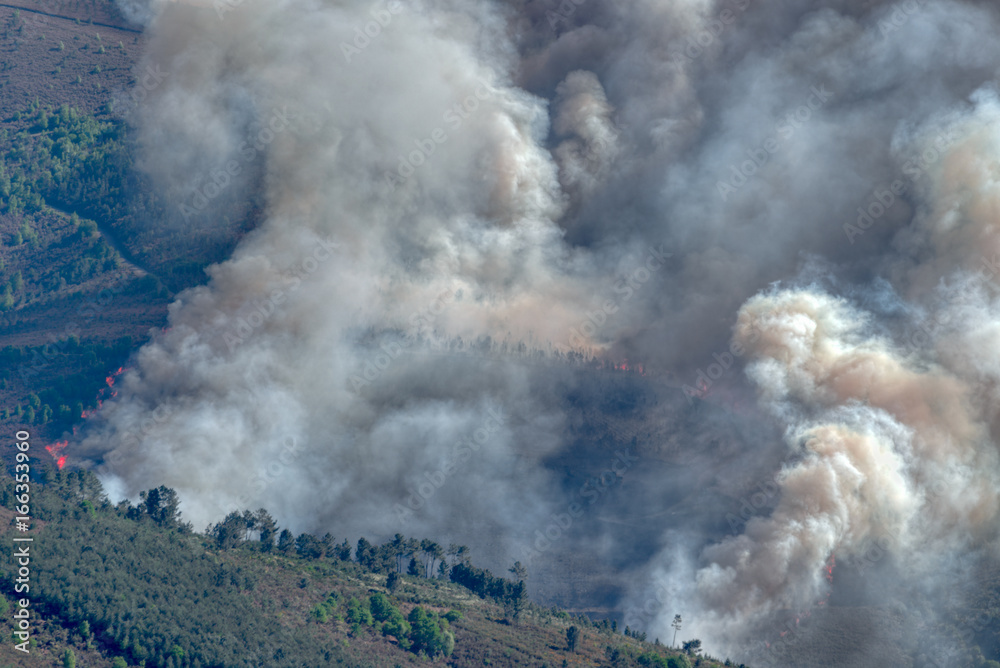 Fototapeta premium Forest fire in the Courel range