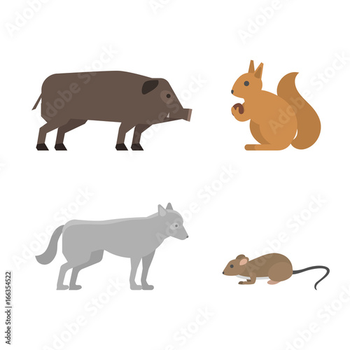 Different wild animals dangerous vertebrate canine characters large predator vector illustration.