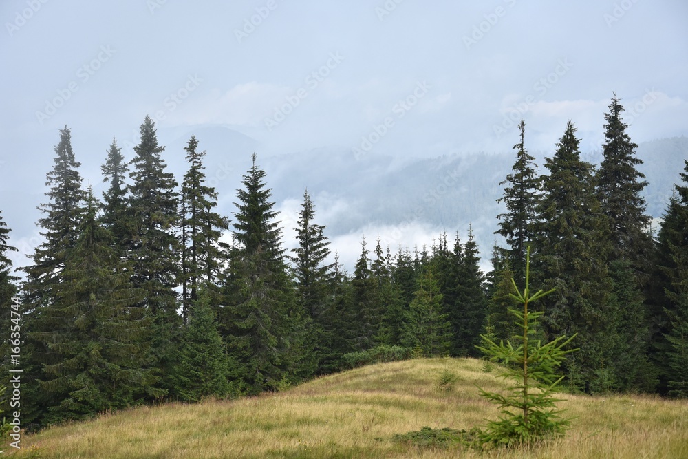Mountains between white clouds, summer trips Mountains between white clouds, summer trips