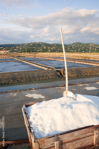 Harvesting sea salt at Secovlje salt plants, Slovenia. photo