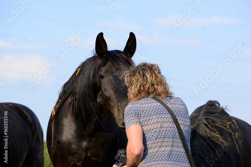 first contact, woman talking to a black horse photo