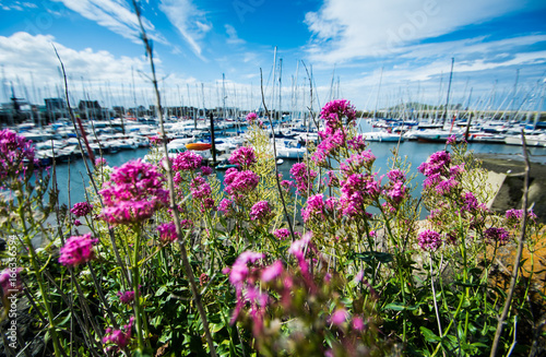 Photography Howth, Dublin, Ireland